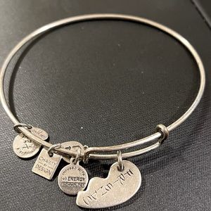 Alex and Ani Bracelet Friends Charm Bangle